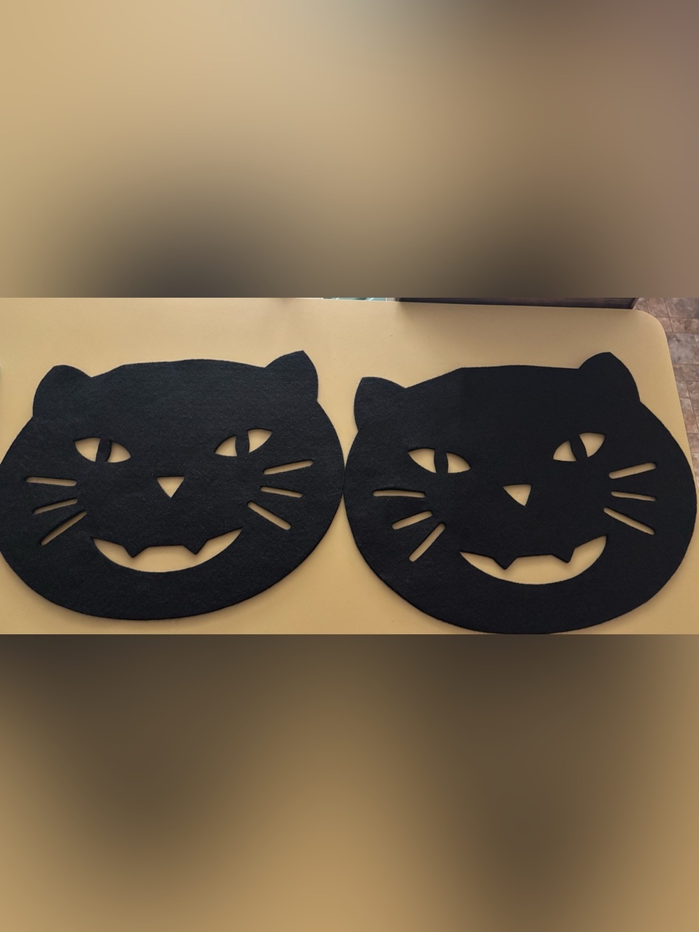 Halllween Cat felt Placemats